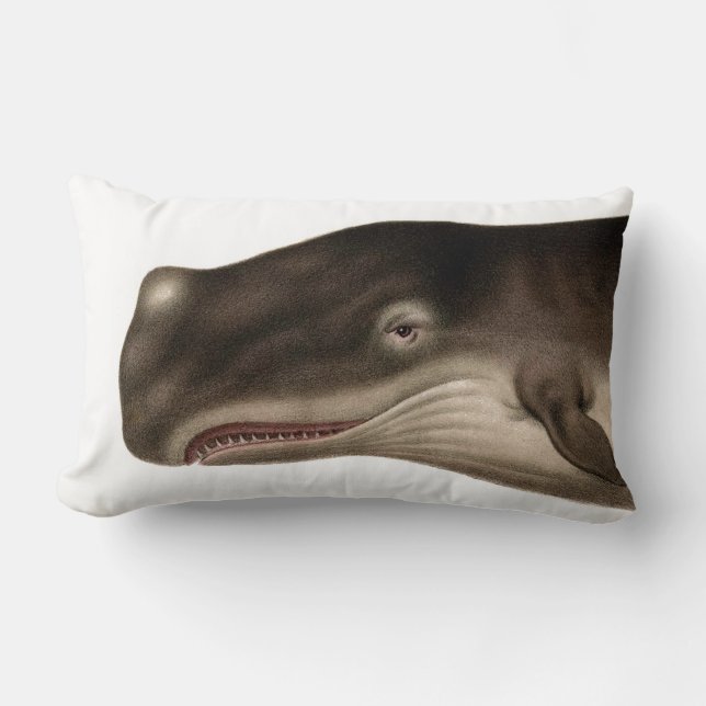 Gray Whale Lumbar Nautical Throw Pillow (Front)