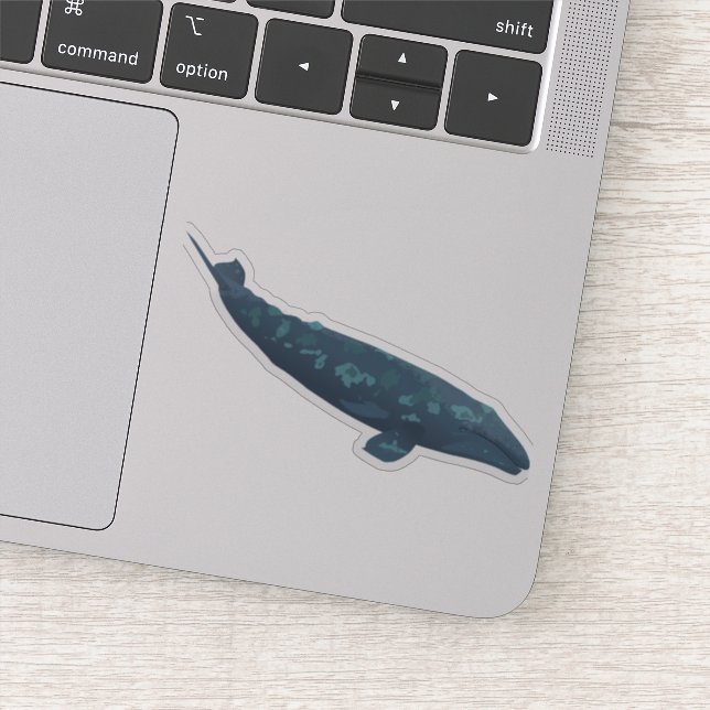 Gray Whale Sticker (Detail)