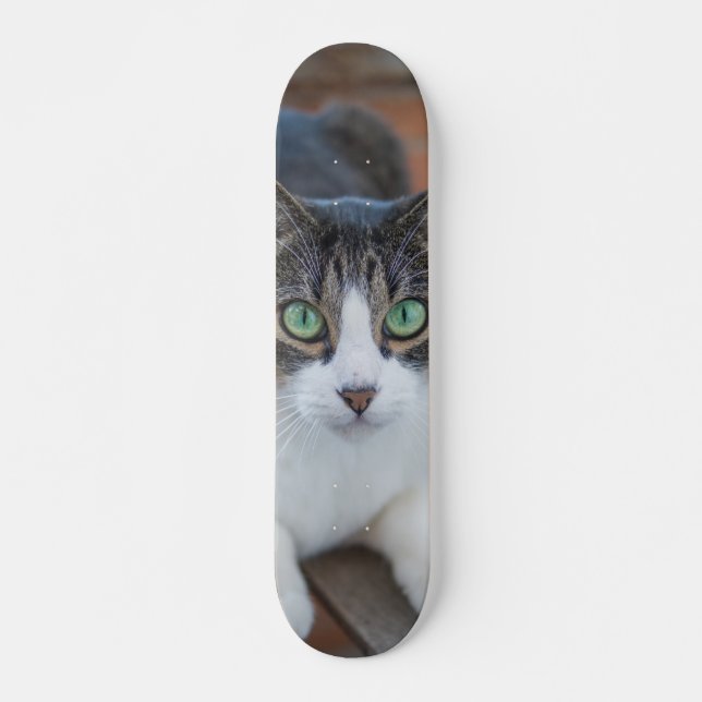Gray white cat skateboard (Front)