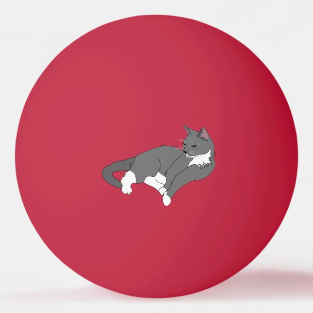 Gray & White Tuxedo Cat Ping Pong Ball (Front)