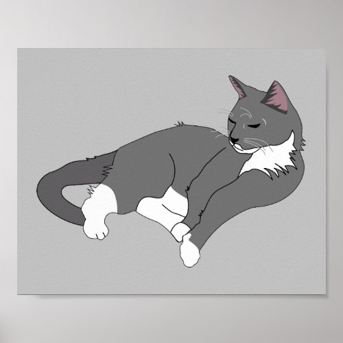 Gray  White Tuxedo Cat  Poster