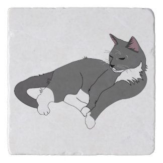 Gray & White Tuxedo Cat Trivet