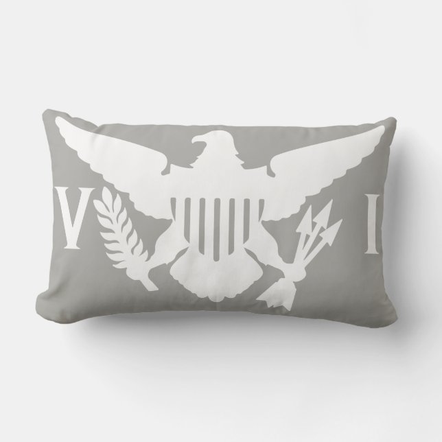Gray & White U.S. Virgin Islands Flag Lumbar Pillow (Front)