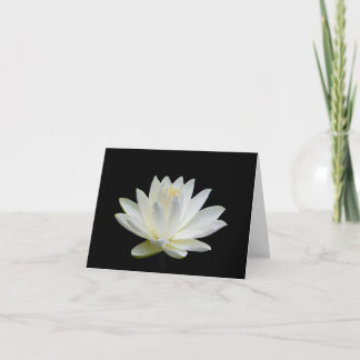 Gray White Water Lily Blank Note Greeting Cards