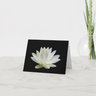 Gray White  Water Lily Blank Note Greeting Cards