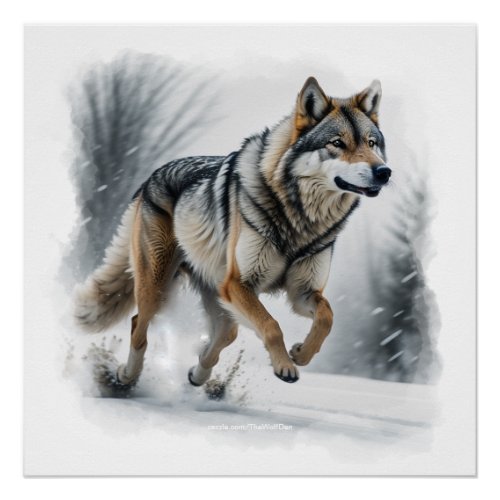 Gray Wolf Animal Art Poster