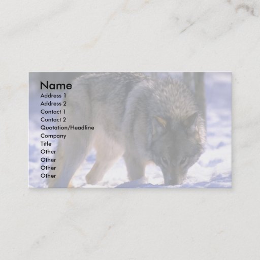 Customizable Gray Wolf at edge of snowy forest, eye contact Business Card Templates