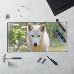 Gray Wolf, Beautiful Canine Photography Desk Mat