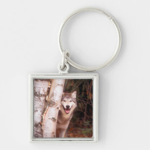Gray Wolf Behind a Tree Keychain