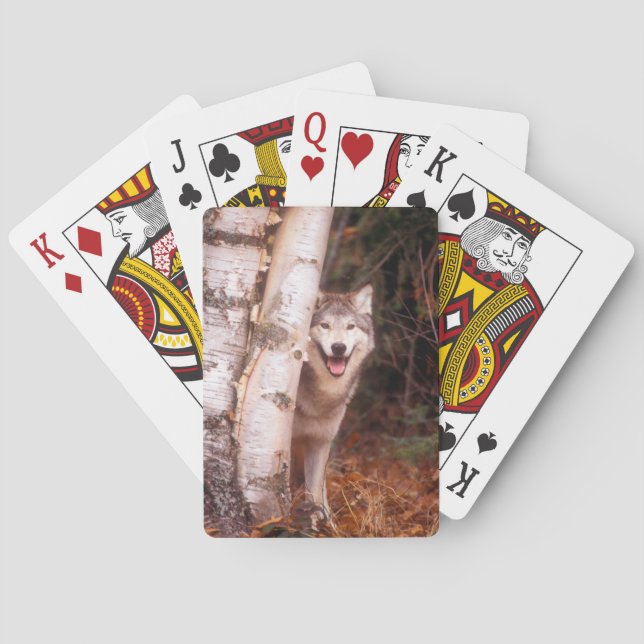 Gray Wolf Behind a Tree Poker Cards (Back)