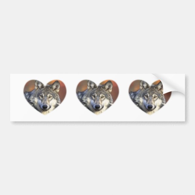 Gray Wolf Bumper Sticker (Front)
