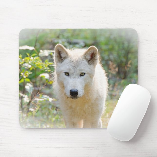 Gray Wolf, Calm Canine  Mouse Pad (With Mouse)
