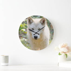 Gray Wolf, Canadian Animal Photography Large Clock