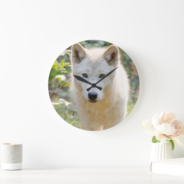 Gray Wolf, Canadian Animal Photography Large Clock (Home)