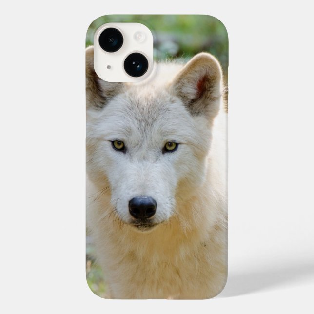 Gray Wolf, Canadian Wildlife Photography Case-Mate iPhone Case (Back)