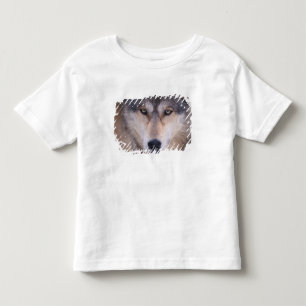 gray wolf, Canis lupus, close up of eyes Toddler T-shirt