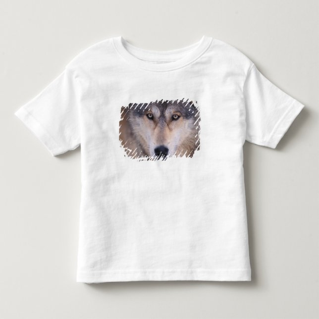 gray wolf, Canis lupus, close up of eyes Toddler T-shirt (Front)