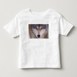gray wolf, Canis lupus, close up of eyes Toddler T-shirt