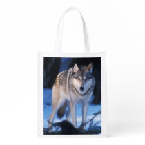 gray wolf, Canis lupus, in the foothills of the 3 Reusable Grocery Bag