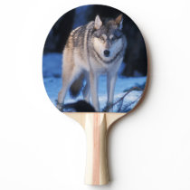 gray wolf, Canis lupus, in the foothills Ping Pong Paddle