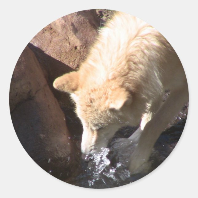 Gray Wolf Classic Round Sticker (Front)