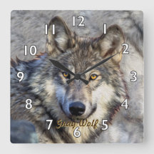 Gray Wolf Dignity