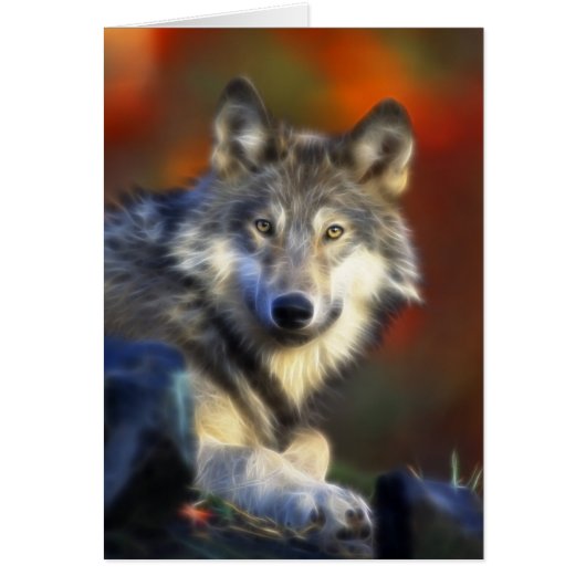 Gray Wolf, Endangered Species Digital Photography Cards (Front)