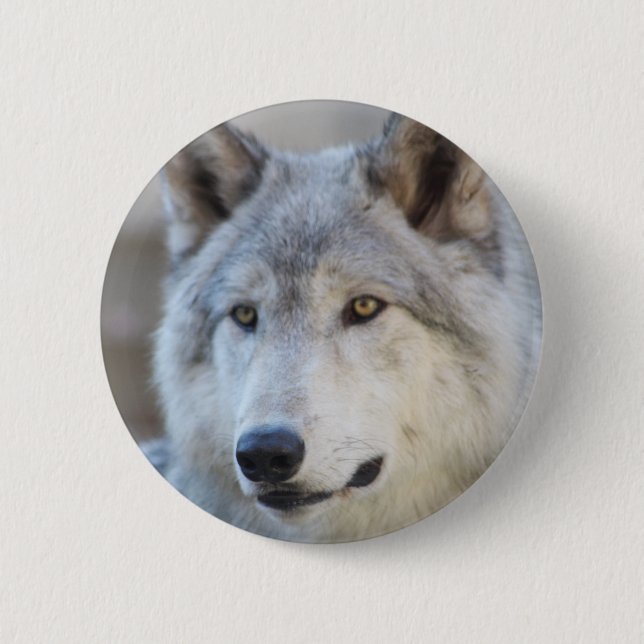 Gray Wolf Face Button (Front)