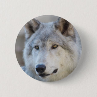 Gray Wolf Face Button