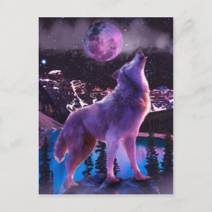 Gray wolf howling in forest postcard