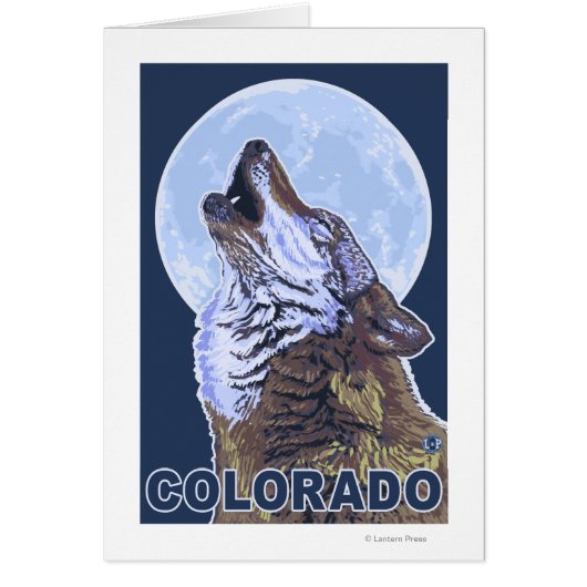 Gray Wolf HowlingColorado (Front)