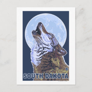 Gray Wolf HowlingSouth Dakota Postcard