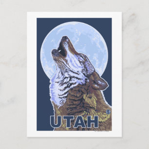 Gray Wolf HowlingUtah Postcard