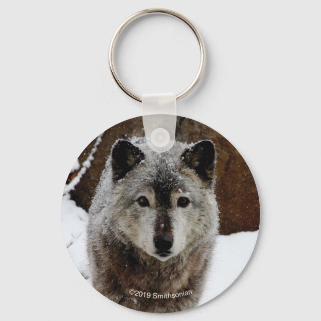 Gray Wolf in Snow Keychain (Front)