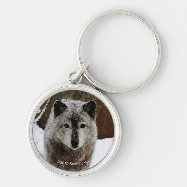 Gray Wolf in Snow Keychain (Front)