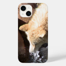 Gray Wolf Iphone Case