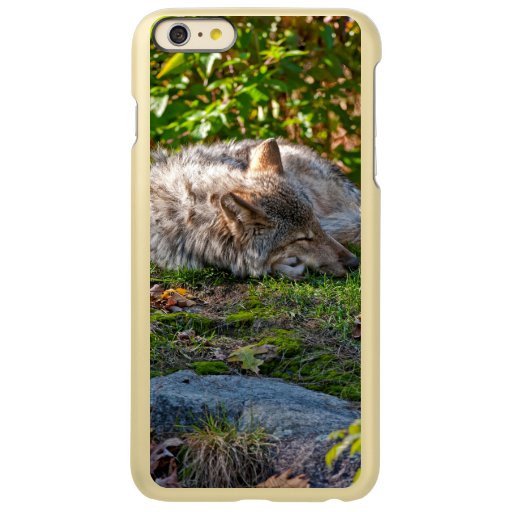 Gray Wolf iphone Incipio Feather Shine iPhone 6 Plus Case
