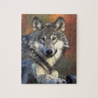 Gray Wolf Jigsaw Puzzle