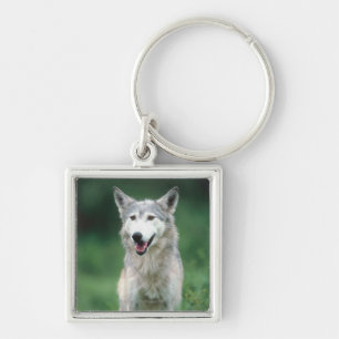 Gray Wolf Keychain