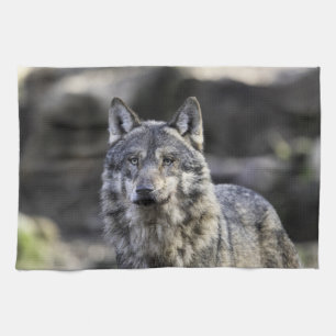 Gray Wolf Kitchen Towel