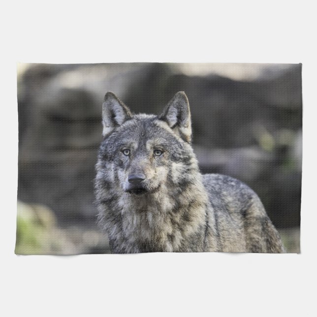 Gray Wolf Kitchen Towel (Horizontal)