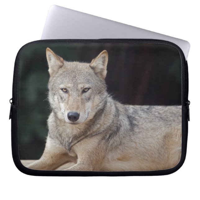 Gray Wolf Laptop Sleeve (Front)