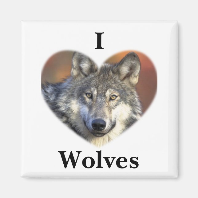 Gray Wolf Magnet (Front)