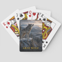 Gray Wolf Mountain Wilderness ANIMALS
