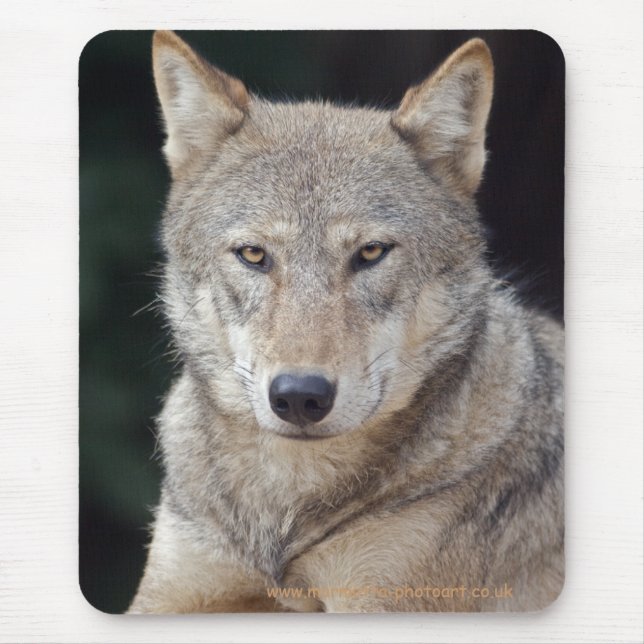 Gray Wolf Mousepad (Front)