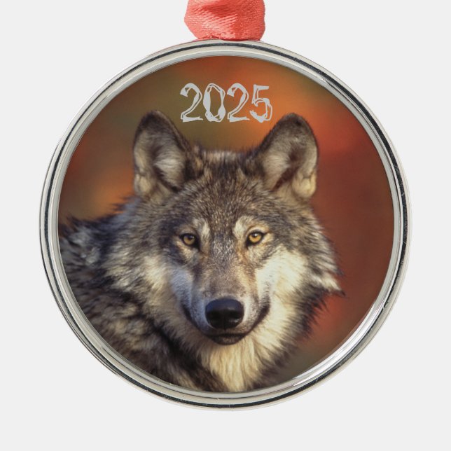 Gray Wolf Ornament (Front)