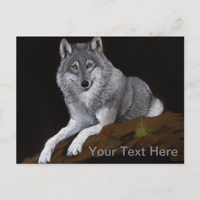 Gray Wolf Postcard (Front)
