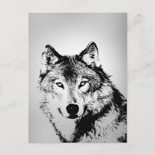 Gray Wolf Postcard