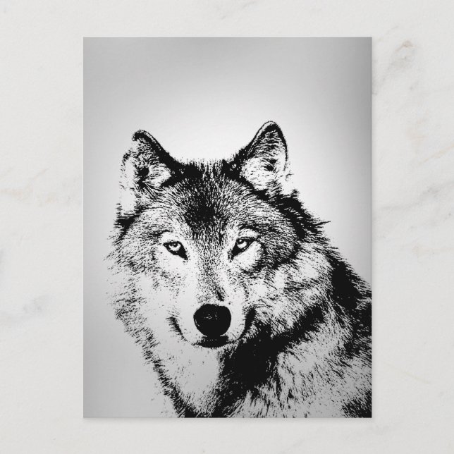 Gray Wolf Postcard (Front)