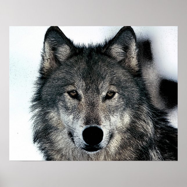 Gray Wolf Poster (Front)